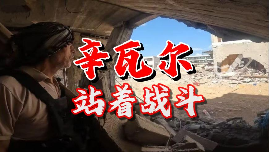 王鹤棣的篮球水平有多高,新奥资料免费精准2025,权威独家讨论与热门话题_基础版V12.76