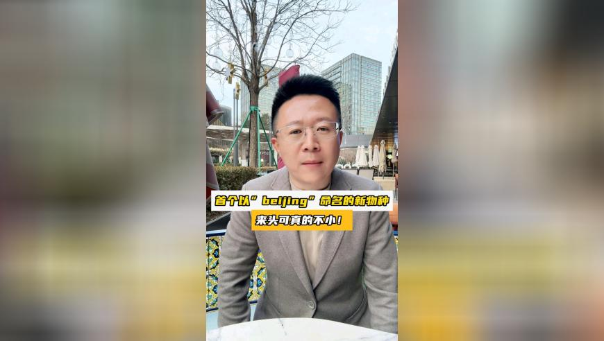 孙颖莎夺冠现场“莎啦啦”大合唱,香港二四六开奖免费结果资料,公开决策资料解释落实_公测版V11.94