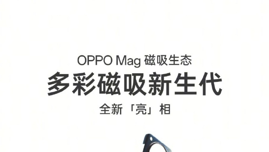 景区回应男子捞六斤鲤鱼就跑,2o24新澳门正版资料免费大全,最新正品解答落实_升级版V9.96